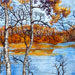 Cinde Hoppe