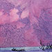 Winter Sky II. 5 x 7 inches, framed to 6 1/2 x 8 1/2 inches. $90.